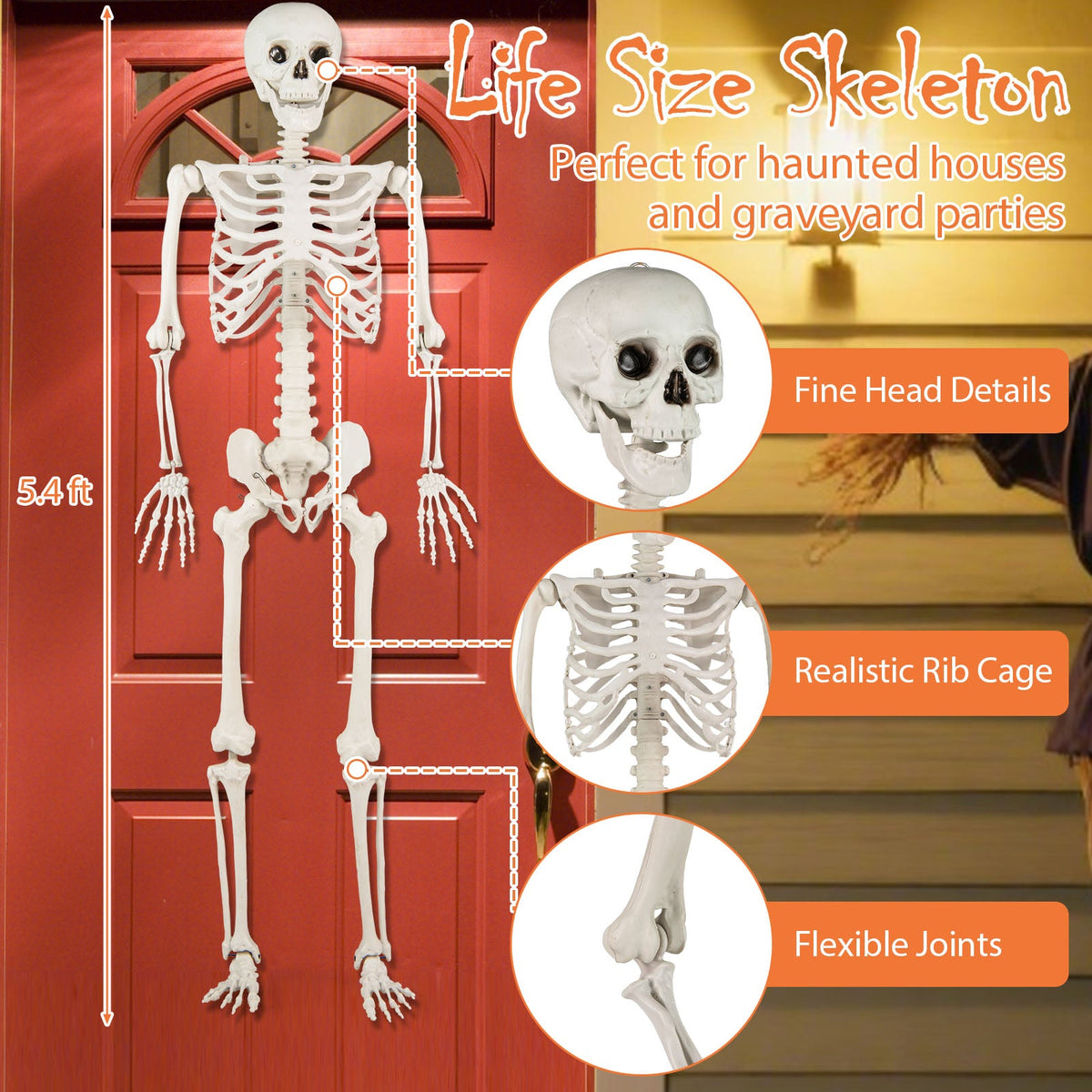 5.4 FT Halloween Skeleton Decoration Life Size Large Skeleton