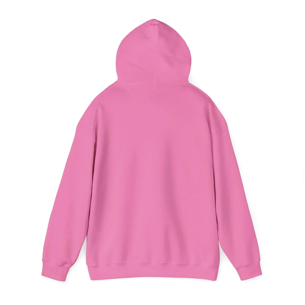 Baseball Field Hoodie