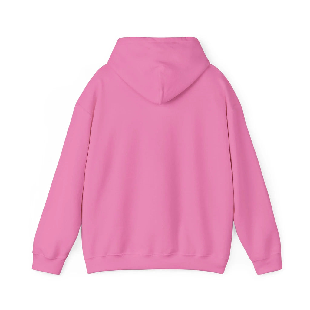 Baseball Field Hoodie