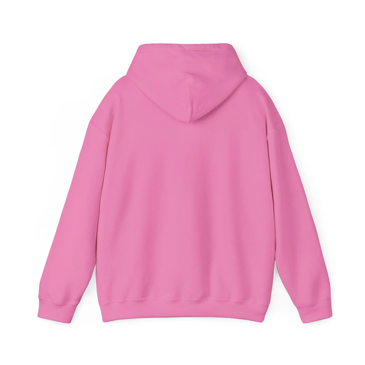 Baseball Field Hoodie
