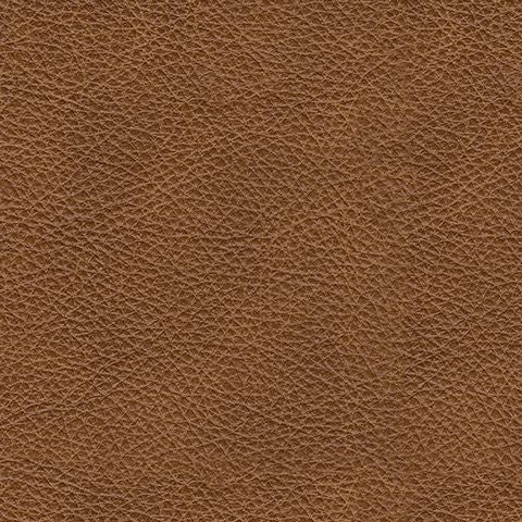 Carianna - Loveseat - Caramel