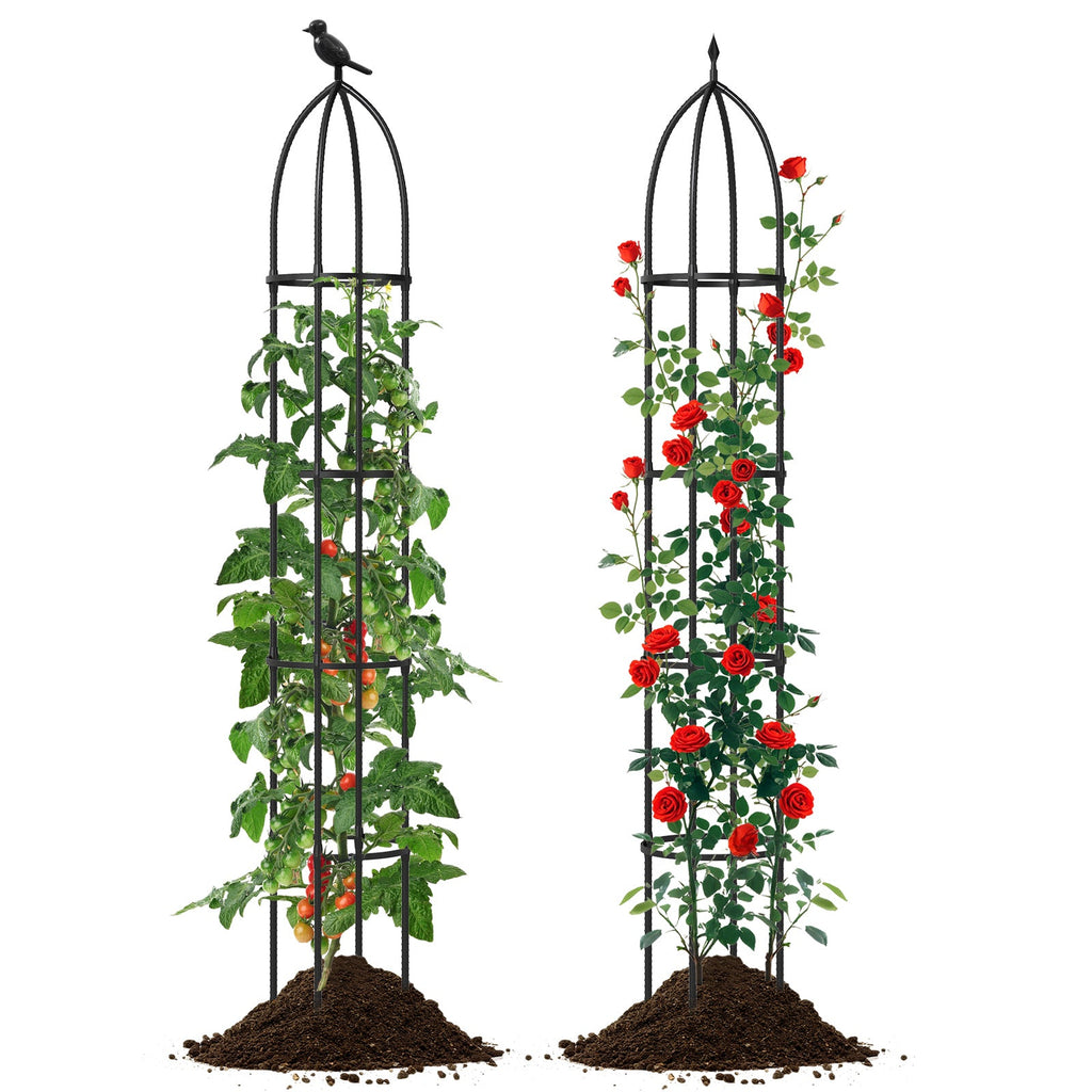 2-Pack Garden Obelisk Trellis for Climbing Plants-Black