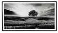Deborland - Wall Art - Black / White