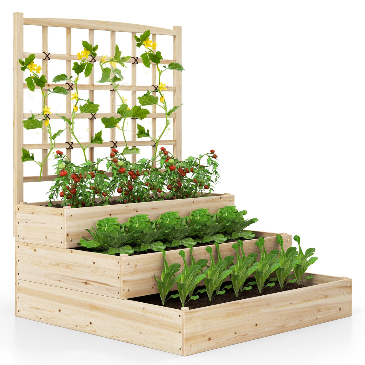 3-Tier Raised Garden Bed with Lattice Trellis and Open-Ended Base-Natural
