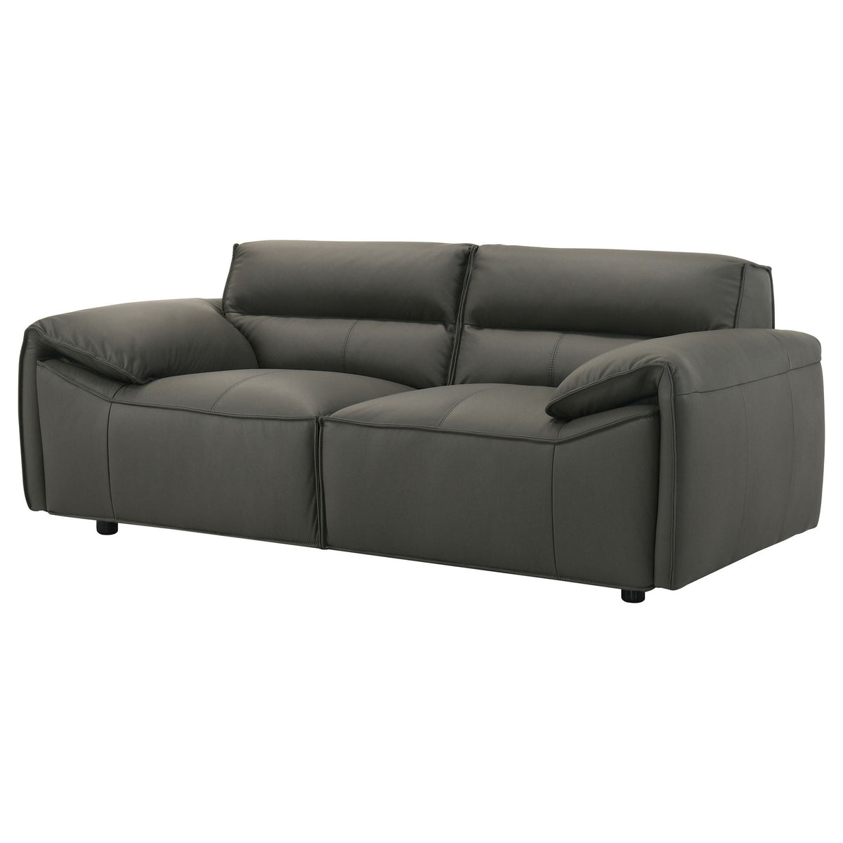 Buxton Top Grain Leather Upholstered Loveseat Graphite