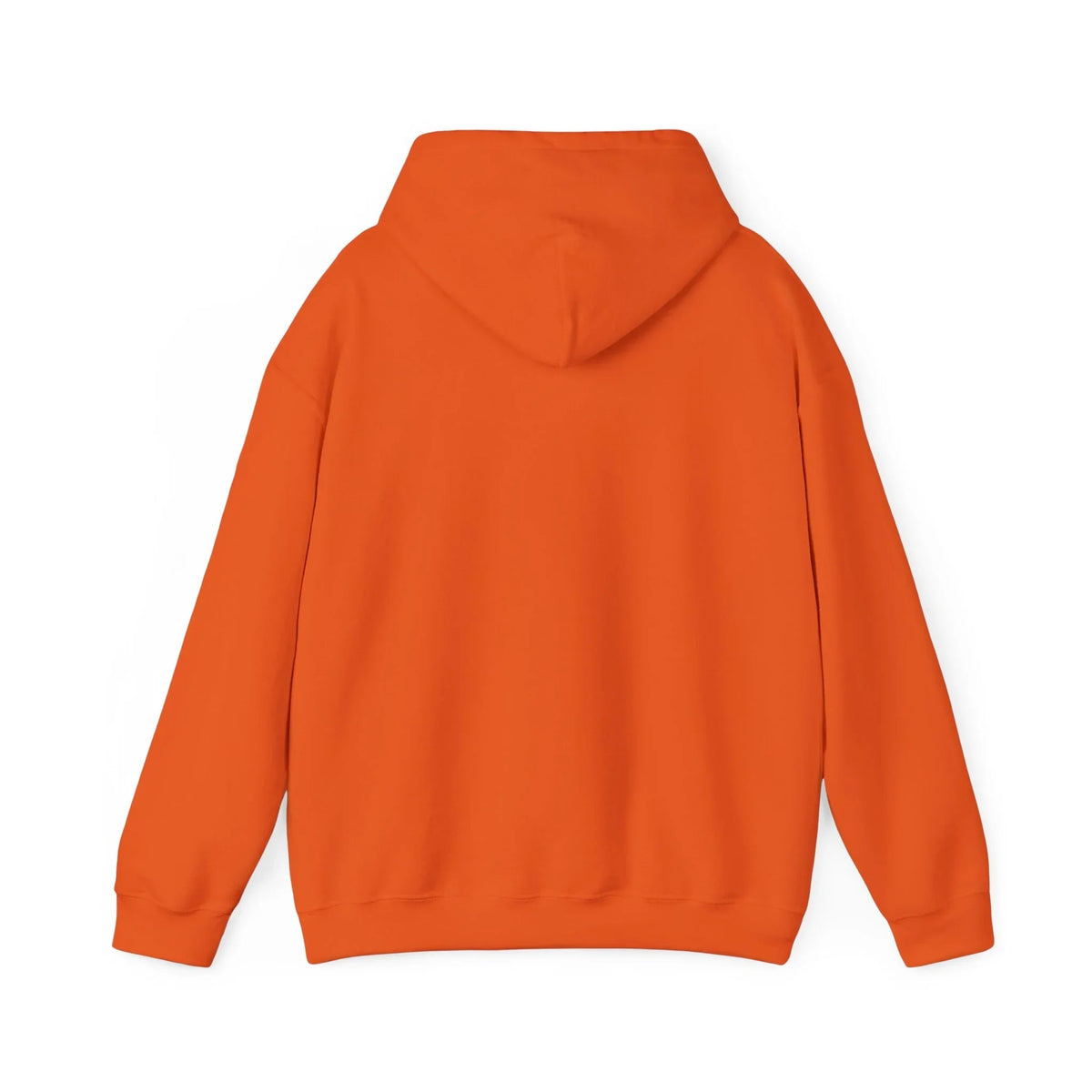Baseball Field Hoodie