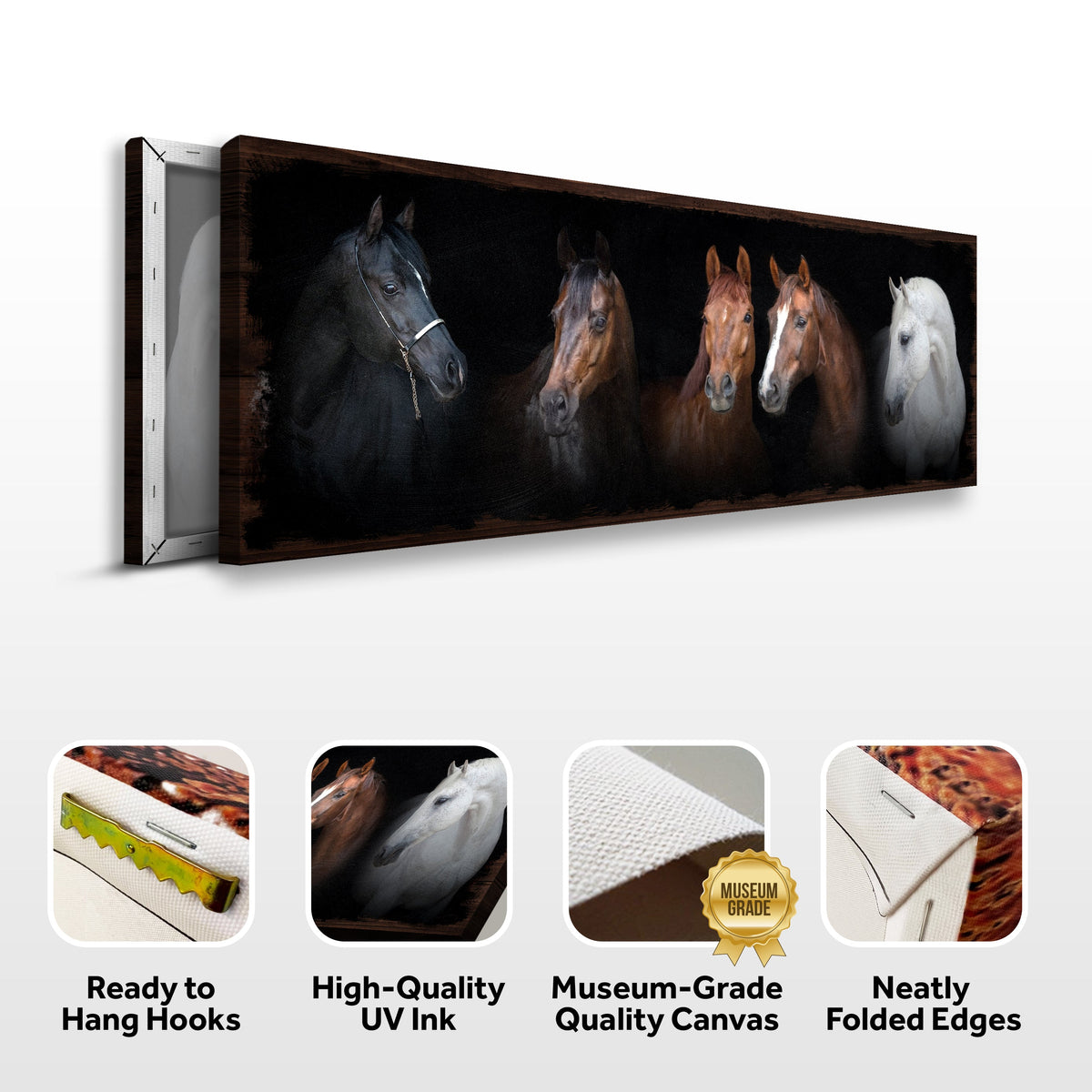 A Family Of Horses Canvas Wall Art
