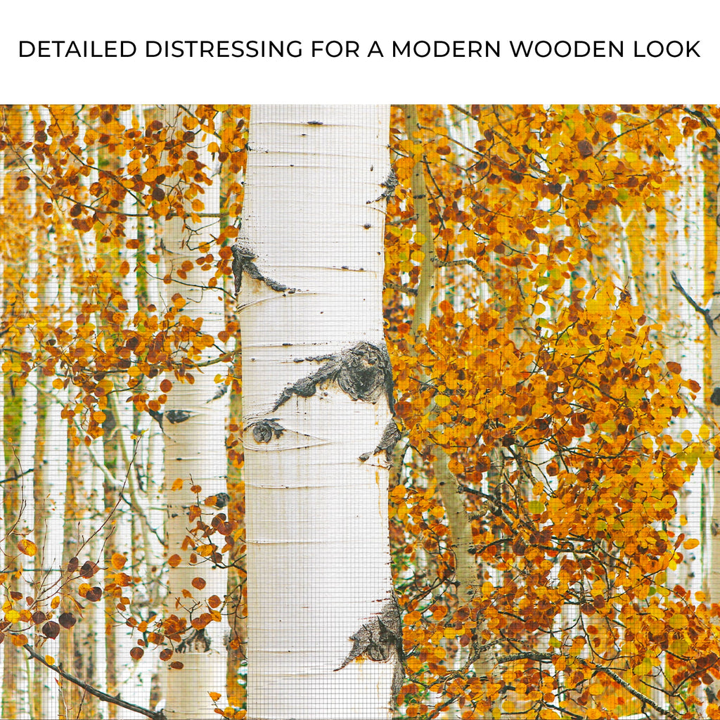Autumn Tree Barks Canvas Wall Art