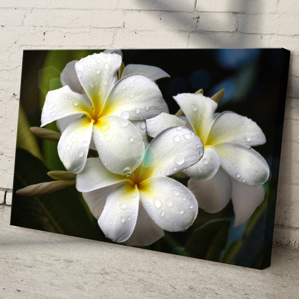 White Frangipani Flower Canvas Wall Art