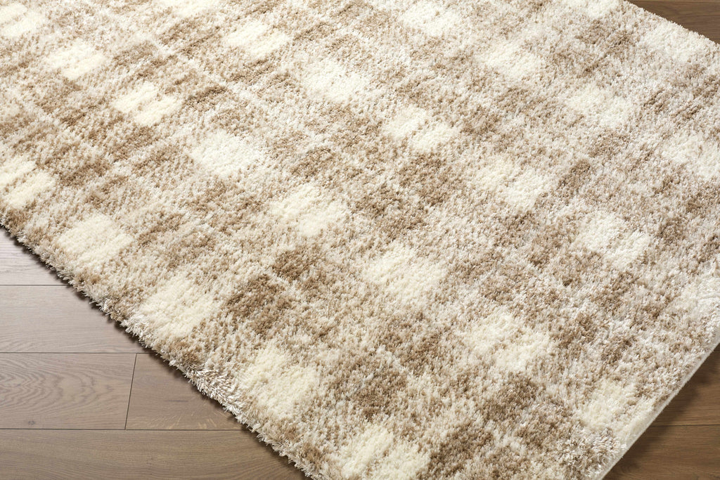 Anfisa Beige Luxe Shag Area Rug
