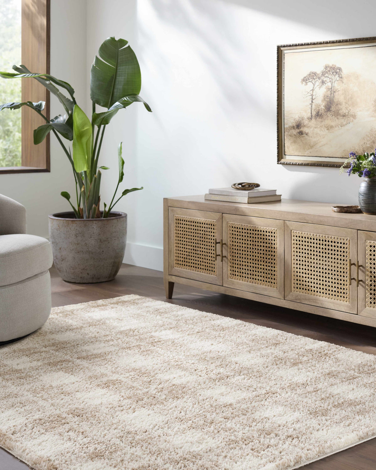 Anfisa Beige Luxe Shag Area Rug