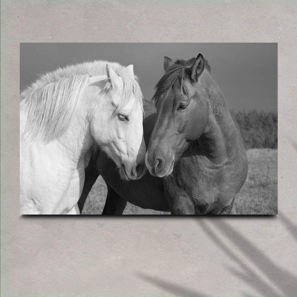 Horse Love Canvas Wall Art