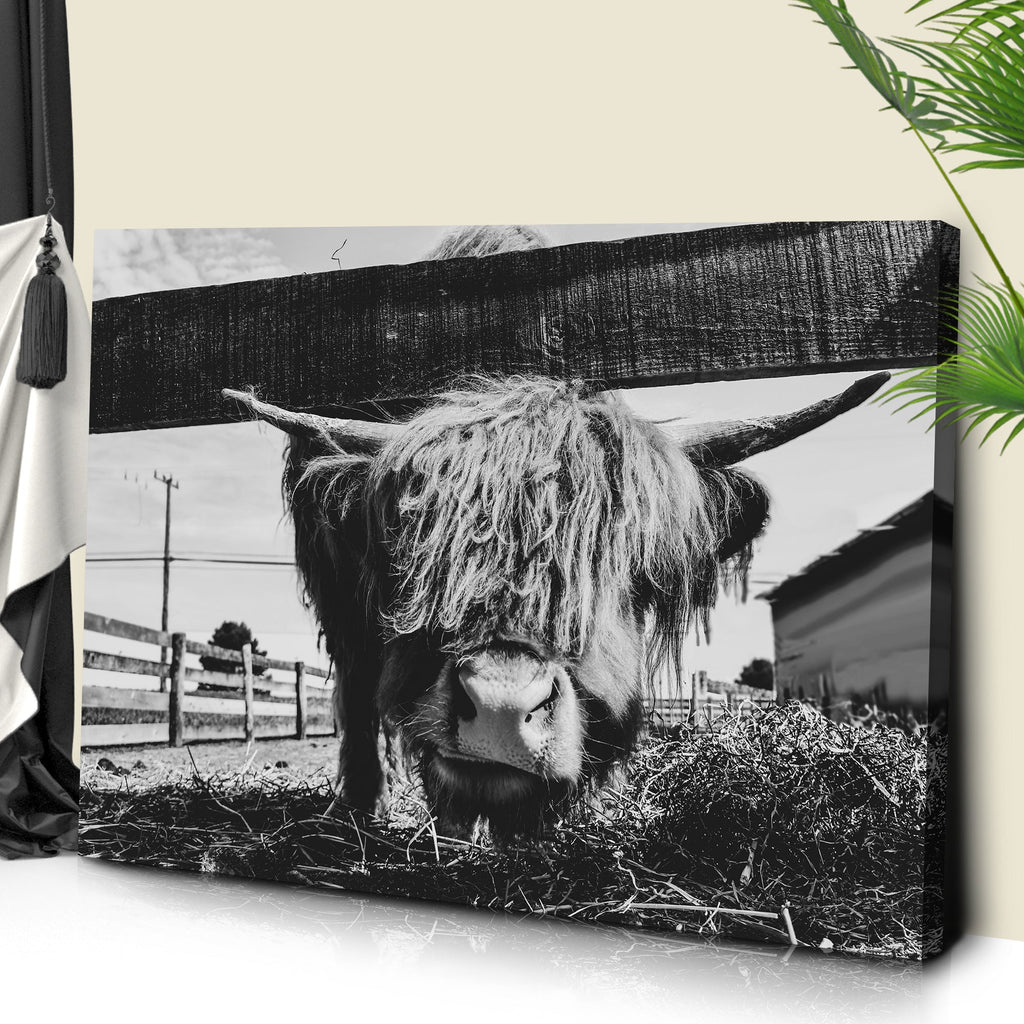 Curious Highland Cattle Monochrome Canvas Wall Art