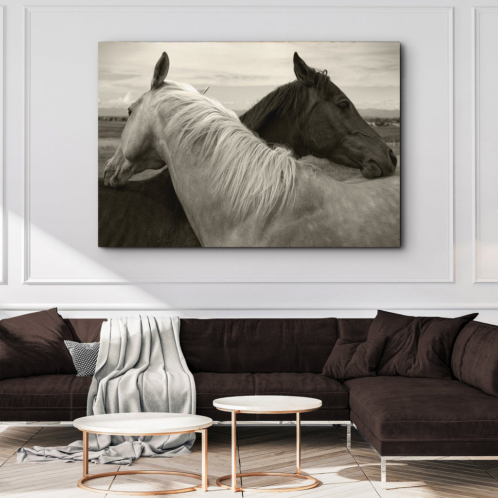Monochrome Couple Horse Canvas Wall Art