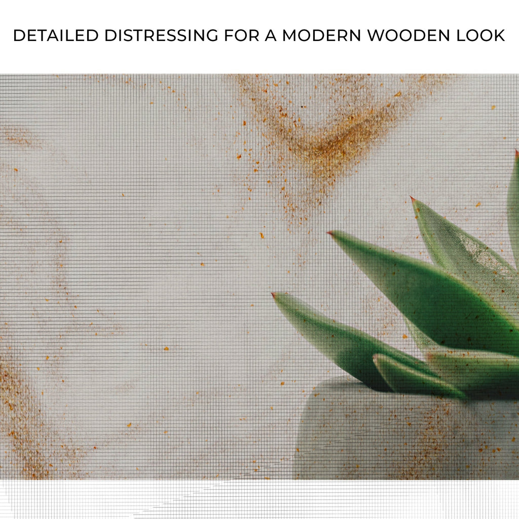 Stone Pot Succulent Plant Canvas Wall Art