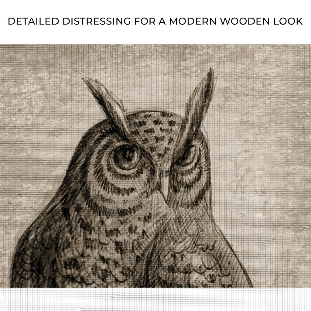Owl Pencil Sketch Portrait Canvas Wall Art