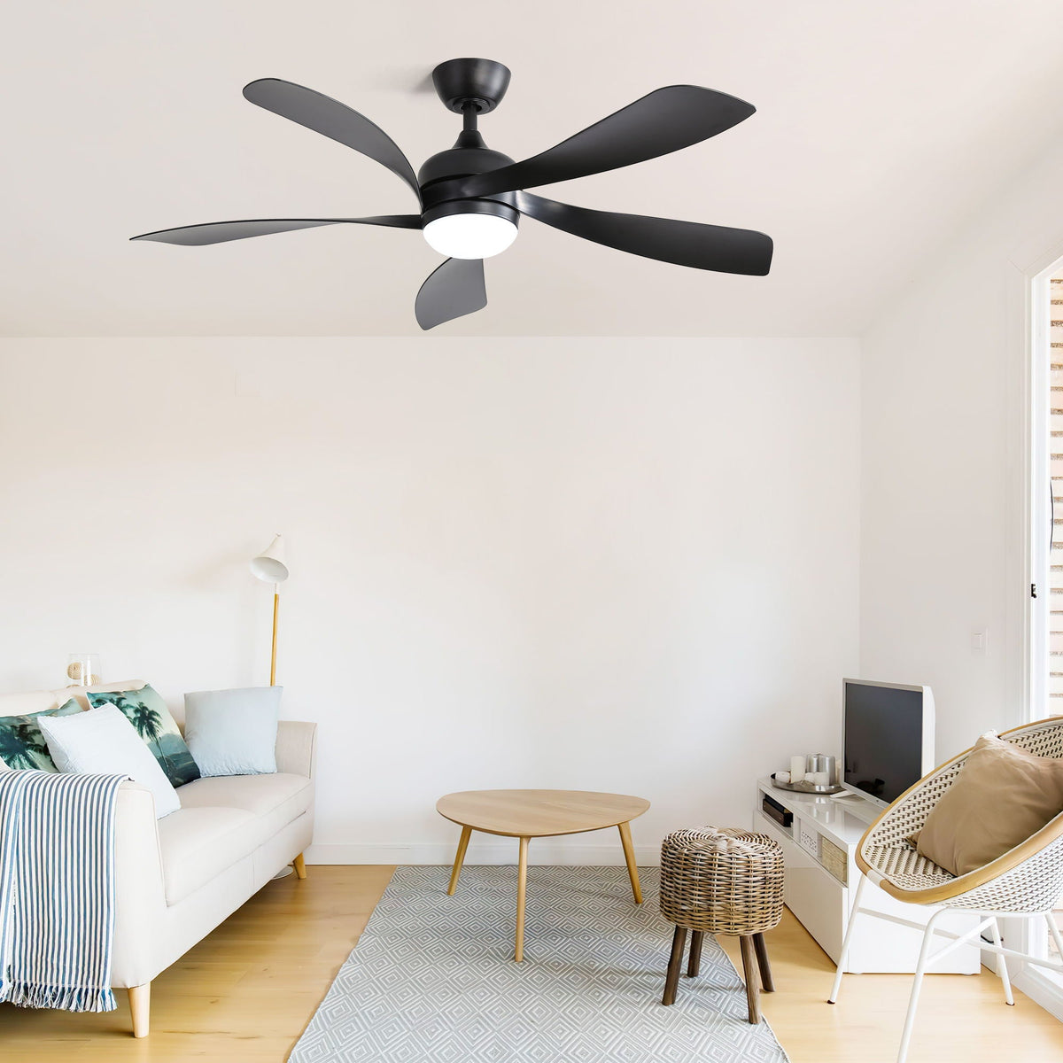 Ceiling Fan & DC Motor And Integrated Light