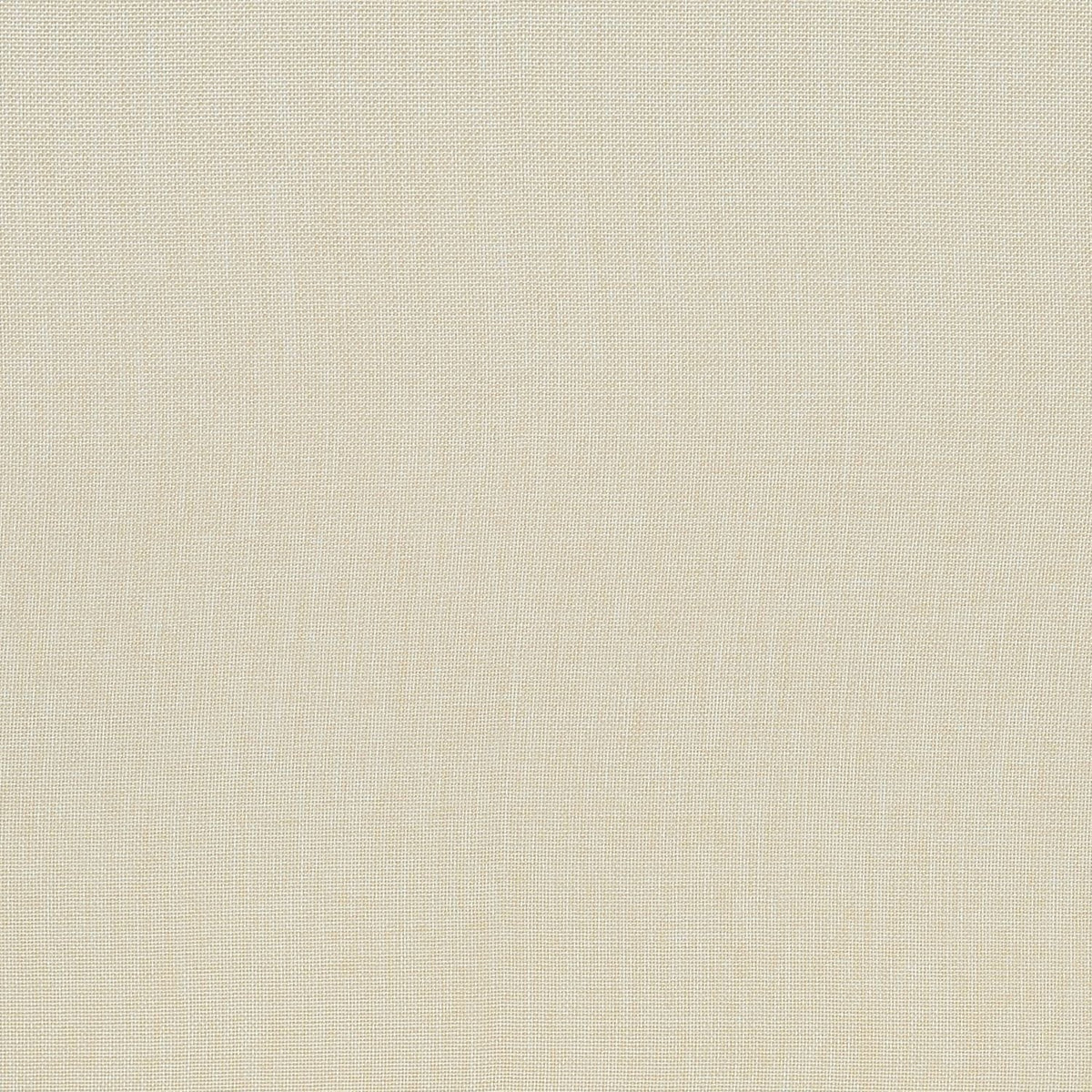 Dining Chair, Upholstered, Dining Room, Transitional (Set of 2) - Cream