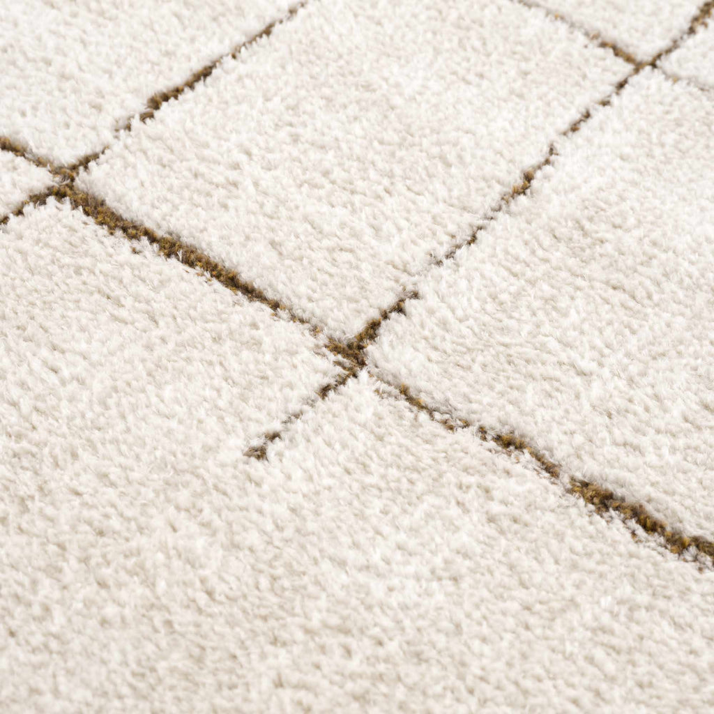 Koume Ivory & Brown Area Rug