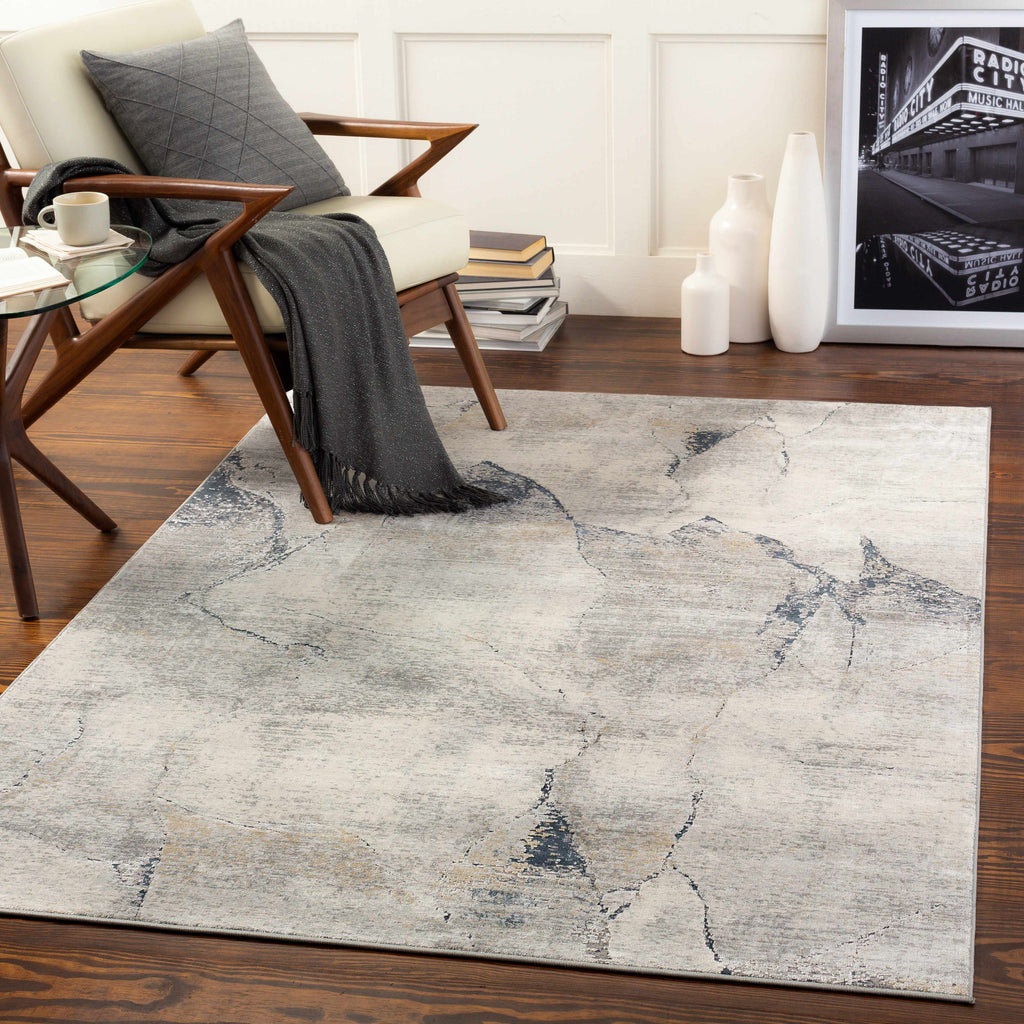 Gasquet Gray Marble Textured Luxe Rug