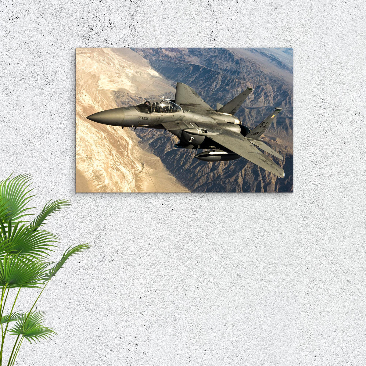 Fighter Plane Canvas Wall Art